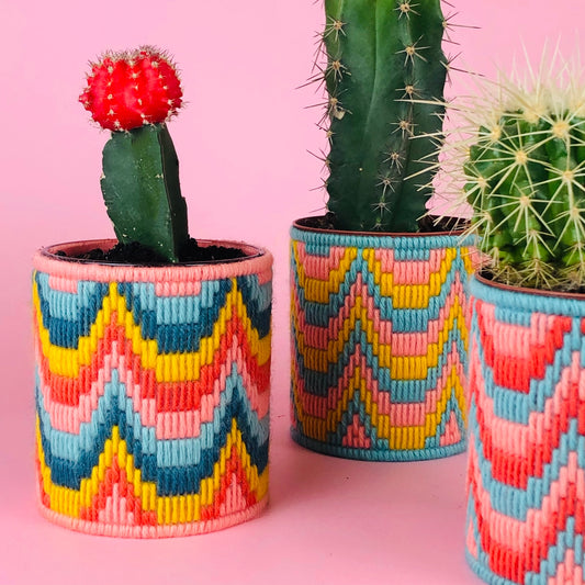 Three needlepoint plant pots with a stitched bargello design in red, blue, and pink colours, containing cacti
